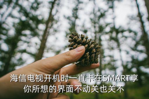 海信电视开机时一直卡在SMART享你所想的界面不动关也关不