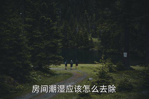 房间潮湿应该怎么去除