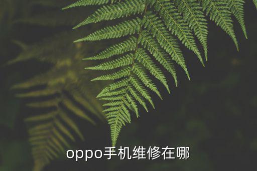 oppo手机维修在哪