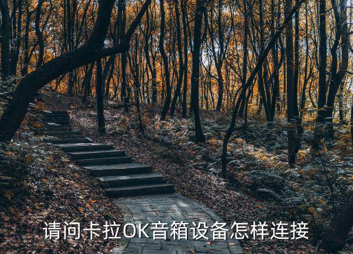 请问卡拉OK音箱设备怎样连接