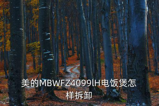 美的MBWFZ4099lH电饭煲怎样拆卸