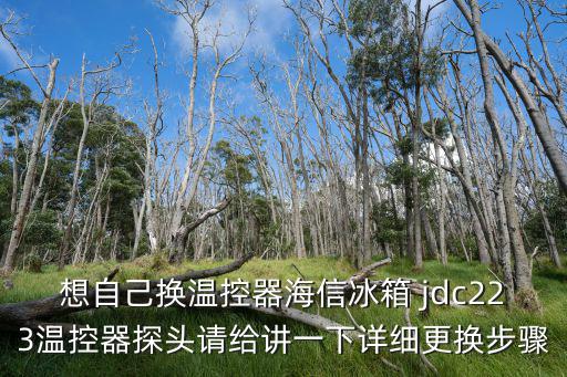 想自己换温控器海信冰箱 jdc223温控器探头请给讲一下详细更换步骤