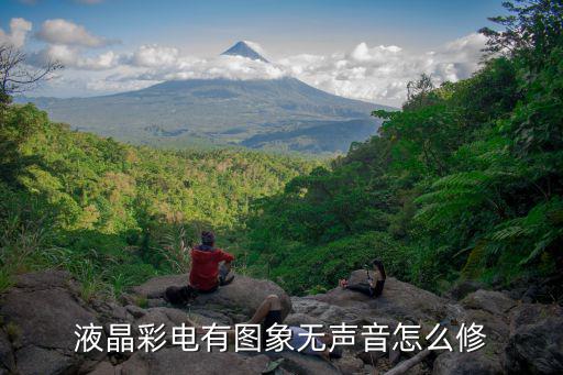 液晶彩电有图象无声音怎么修