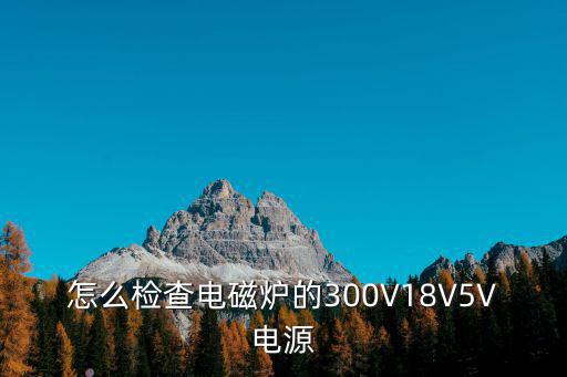 怎么检查电磁炉的300V18V5V电源