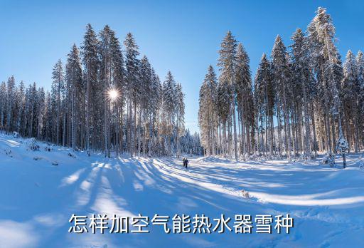 怎样加空气能热水器雪种