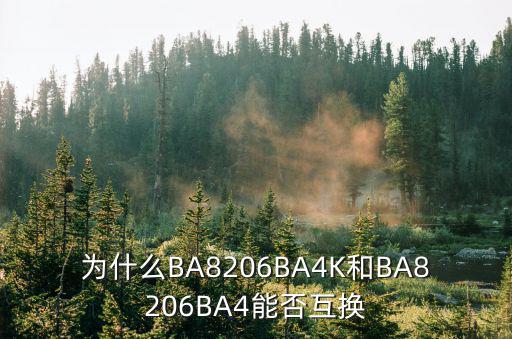 为什么BA8206BA4K和BA8206BA4能否互换