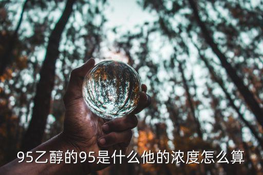 95yin，95乙醇的95是什么他的浓度怎