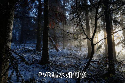 PVR漏水如何修