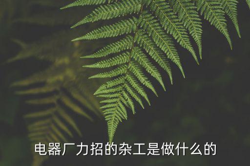 杂工是什么工作，电器厂力招的杂工是