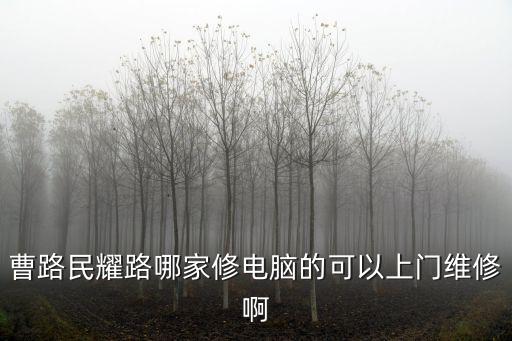 曹路民耀路哪家修电脑的可以上门维修啊