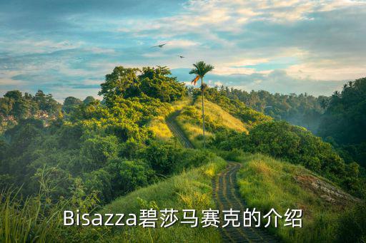 Bisazza碧莎马赛克的介绍