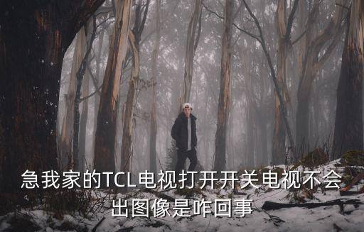 tcl电视开关没反应怎么回事，急我家