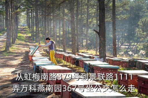 从虹梅南路379号到景联路1111弄万科燕南园367号坐公交怎么走