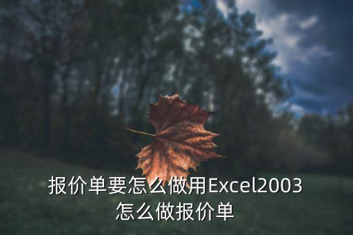 报价单要怎么做用Excel2003怎么做报价单