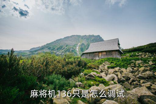 兰科麻将机怎么调136，麻将机136只是