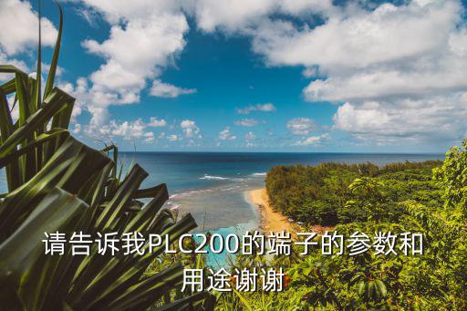 请告诉我PLC200的端子的参数和用途谢谢