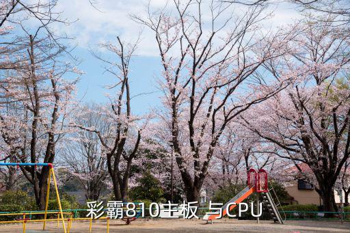 彩霸，彩霸810主板 与CPU