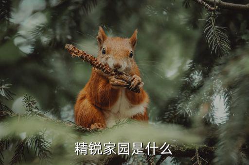 精锐家园是什么