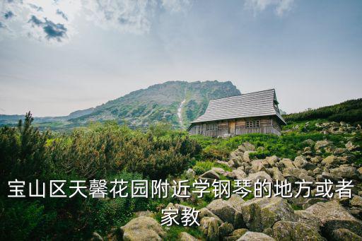 宝山区天馨花园附近学钢琴的地方或者家教