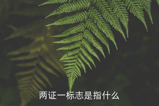 两证一标志是指什么