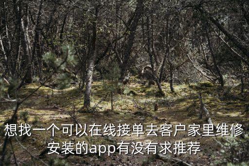 想找一个可以在线接单去客户家里维修安装的app有没有求推荐