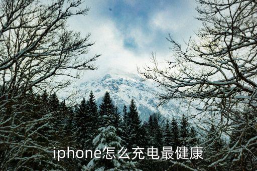 iphone怎么充电最健康