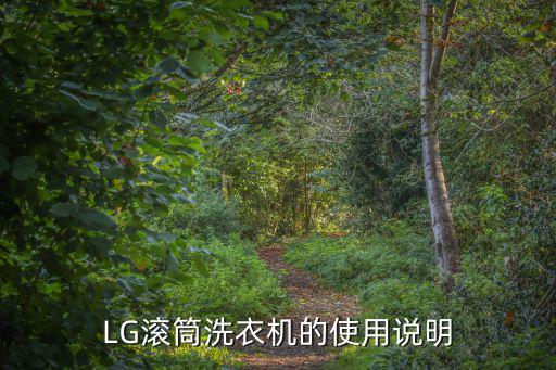 LG滚筒洗衣机的使用说明