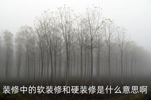 装修中的软装修和硬装修是什么意思啊