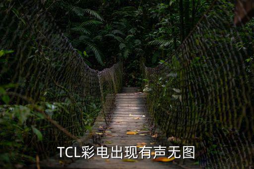 TCL彩电出现有声无图