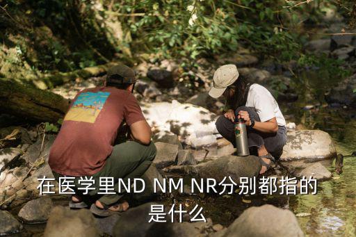 在医学里ND NM NR分别都指的是什么