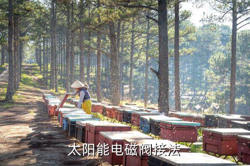 太阳能电磁阀接法