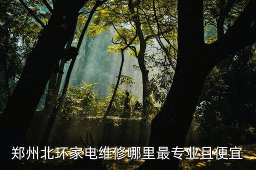 郑州北环家电维修哪里最专业且便宜