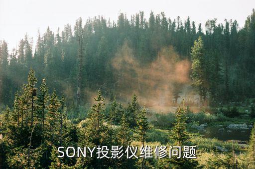 SONY投影仪维修问题