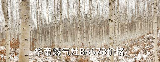 华帝燃气灶B857B价格