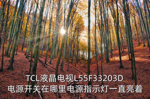 TCL液晶电视L55F33203D电源开关在哪里电源指示灯一直亮着