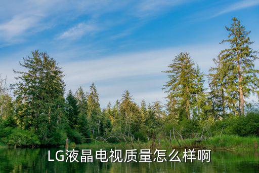 LG液晶电视质量怎么样啊