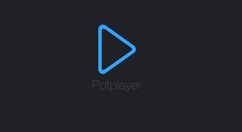 PotPlayer显示本地时间的操作流程