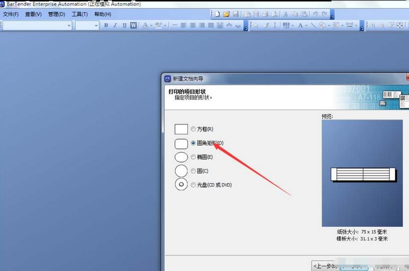 BarTender双排标签纸打印的操作教程截图