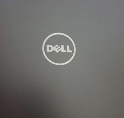 我来教你Dell开机卡在logo死机怎么