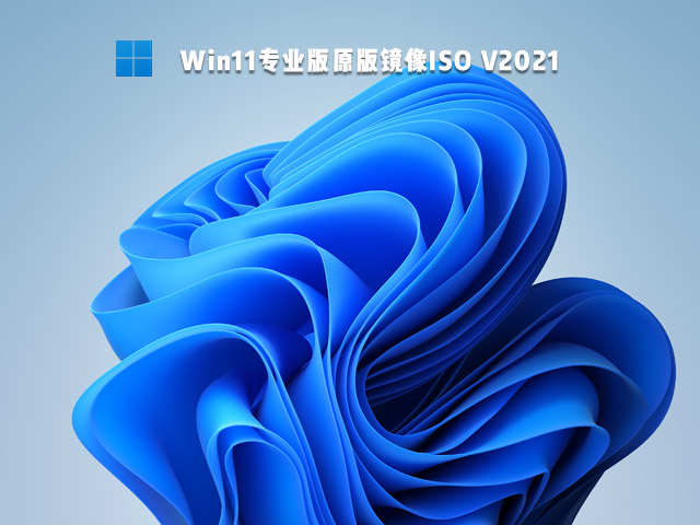 我来教你Win11企业版和专业版有什