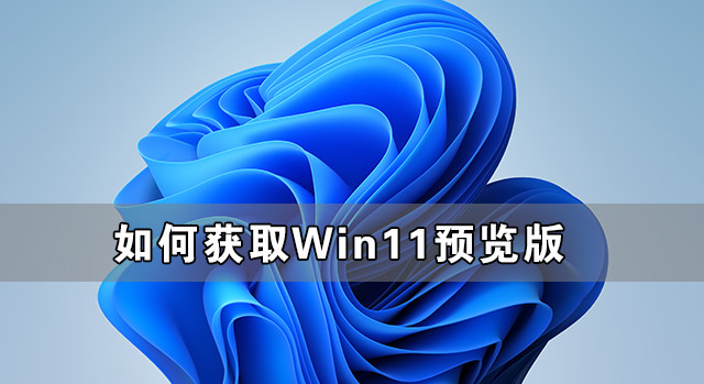 关于如何获取Win11预览版