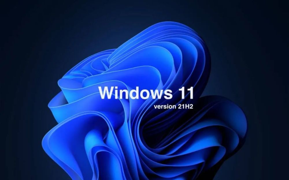 Win11文件管理器卡顿反应慢怎么办 Win11文件管理器卡顿解决方法汇总