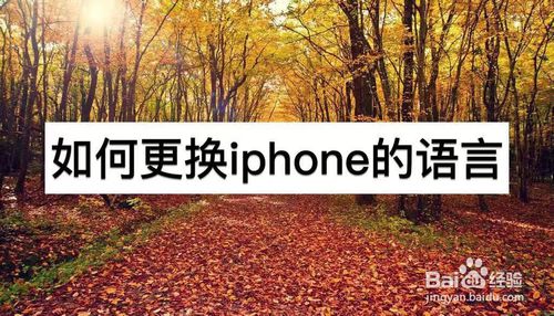 我来分享iPhone怎么换语言。