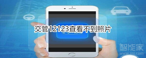 分享交管12123查看不到照片怎么回