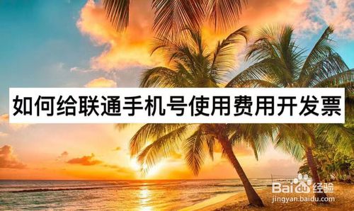 小编分享怎么给联通手机号使用费用