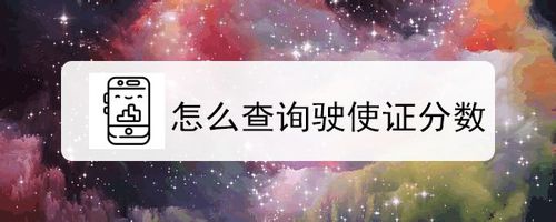 教你如何查询驶使证分数。