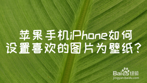 教你iPhone怎么设置喜欢图片为壁纸