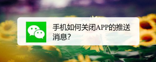 分享手机怎么关闭APP推送消息。