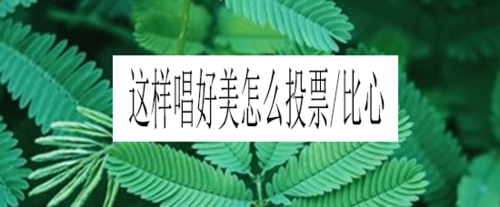 教你这样唱好美如何投票和比心。