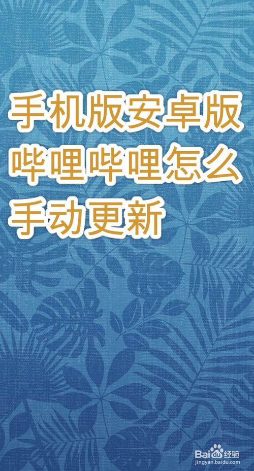 教你手机版安卓版哔哩哔哩如何手动